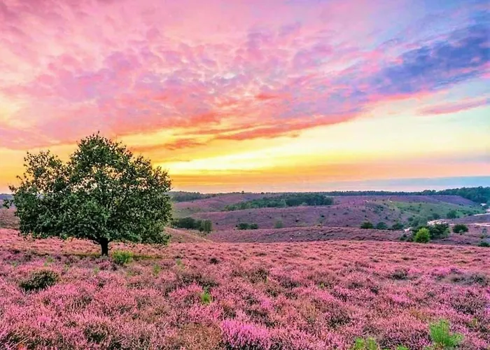 펜션 Nature Escape W Garden 헨덜루