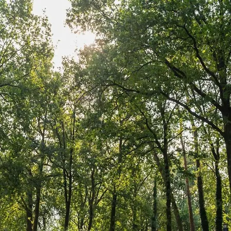 Nature Escape W Garden * Hoenderloo