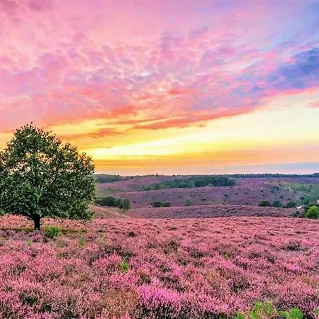 Holiday home Nature Escape W Garden Hoenderloo