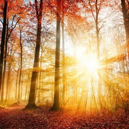 Nature Escape W Garden * Hoenderloo